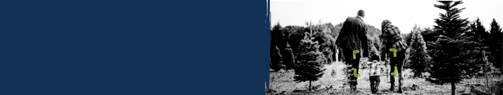 Family with mother, father, and small child walking through tree farm holding hands.